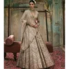 Chevron Lehenga With Jaal Sleeve Lehenga Set