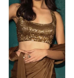 Chiffon Coffee with Chic Leaves Sari Set