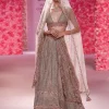 Chloe Shimmer Lehenga Set