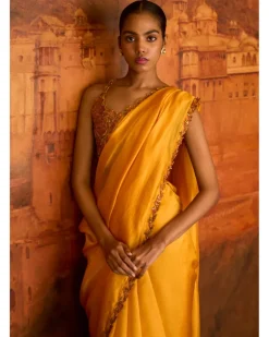 Choli Ke Peeche Sari Set