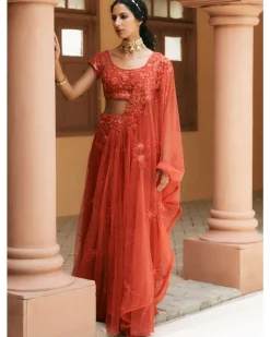 Cocktail Butterfly Tulle Drape Sari Set