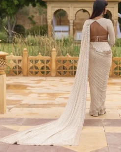 Coconut Embroidered Classic Sari Set