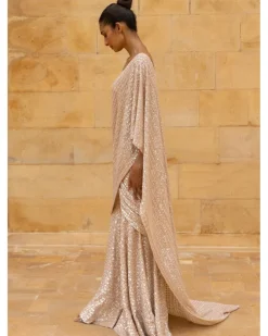 Coconut Embroidered Sequins Sari Set