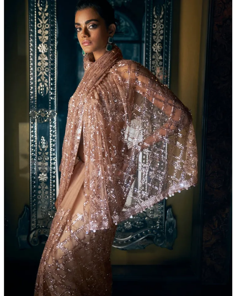 Coffee Brown Sequin Sari