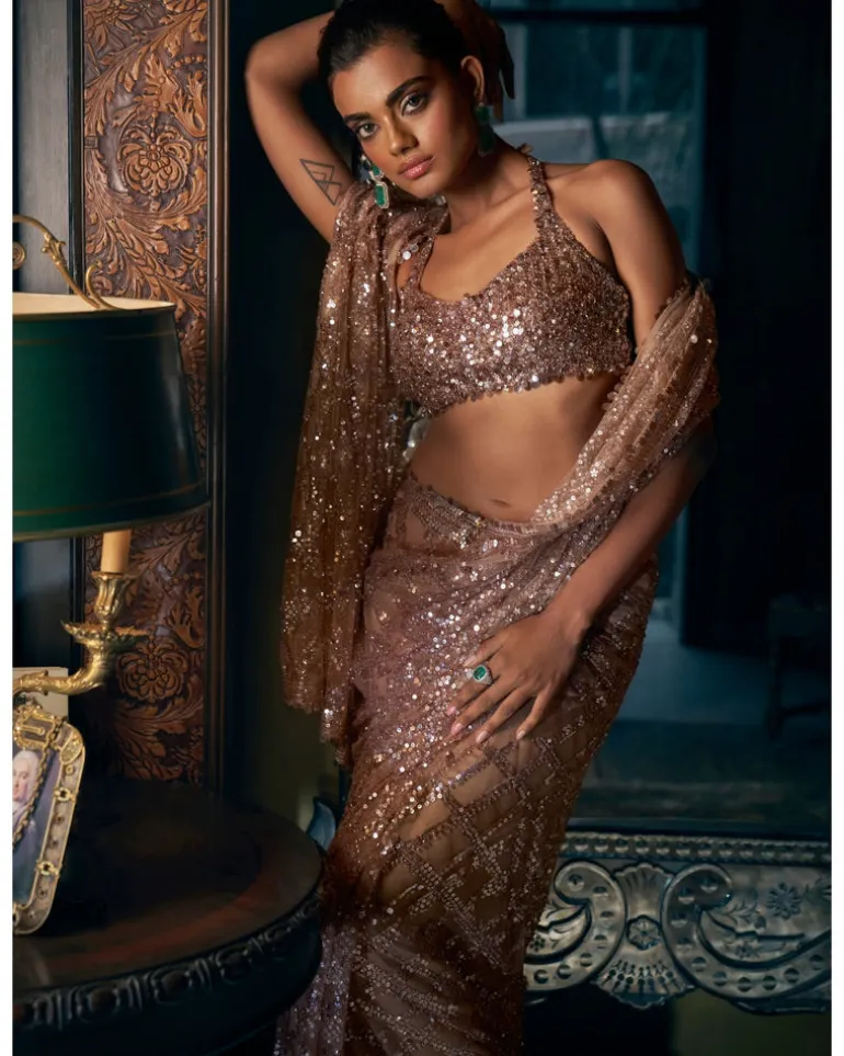 Coffee Brown Sequin Sari