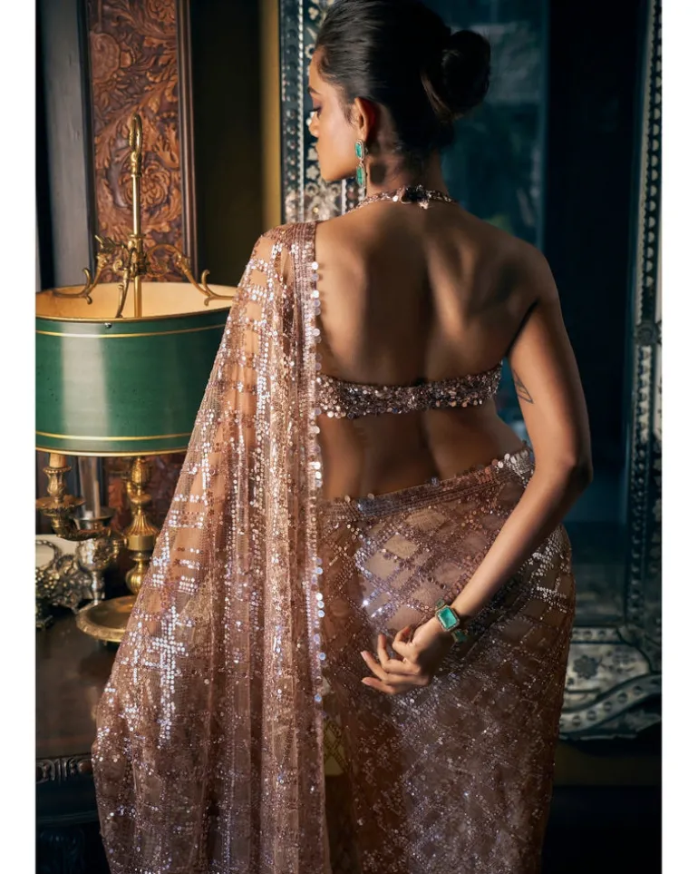 Coffee Brown Sequin Sari