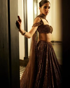 Copper Crystal Linear Embroidered Lehenga Set