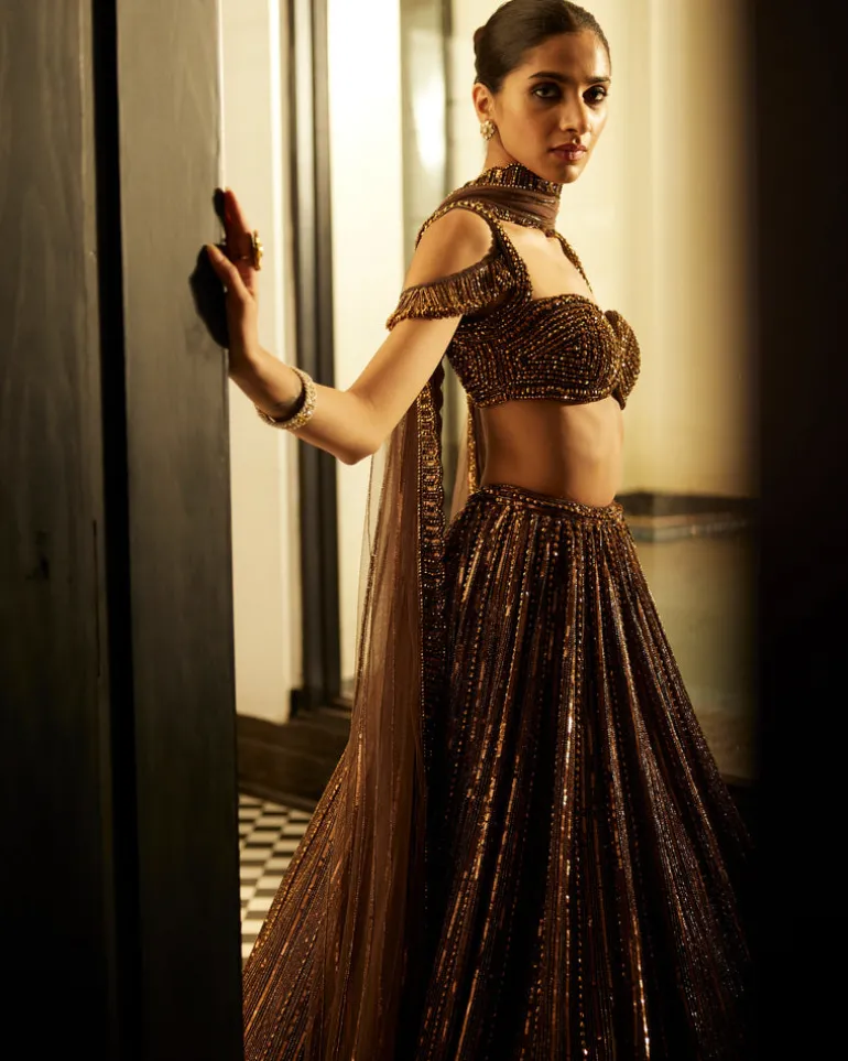 Copper Crystal Linear Embroidered Lehenga Set