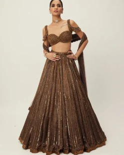 Copper Crystal Linear Embroidered Lehenga Set