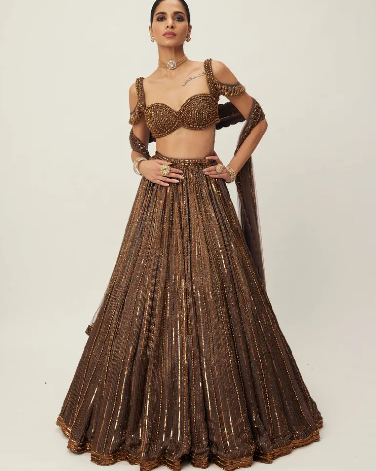 Copper Crystal Linear Embroidered Lehenga Set