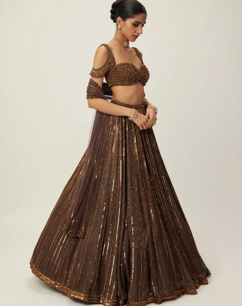 Copper Crystal Linear Embroidered Lehenga Set