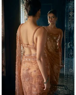 Copper Sequin Sari Set