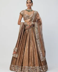 Copper Shimmer Organza Linear Lehenga Set