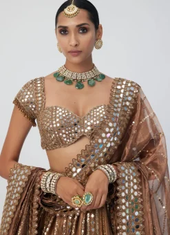 Copper Shimmer Organza Linear Lehenga Set