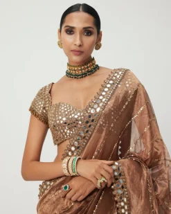 Copper Shimmer Organza Sari Set