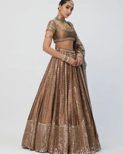 Copper Shimmer Organza Sequins Lehenga Set