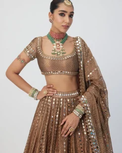 Copper Shimmer Organza Sequins Lehenga Set