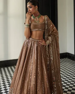 Copper Shimmer Organza Sequins Lehenga Set
