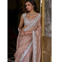 Copper Tissue Organza Sari