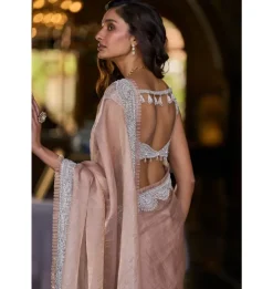 Copper Tissue Organza Sari