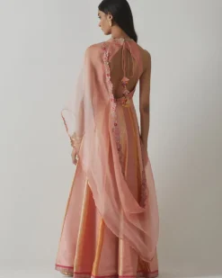 Coral Embroidered Anarkali Set