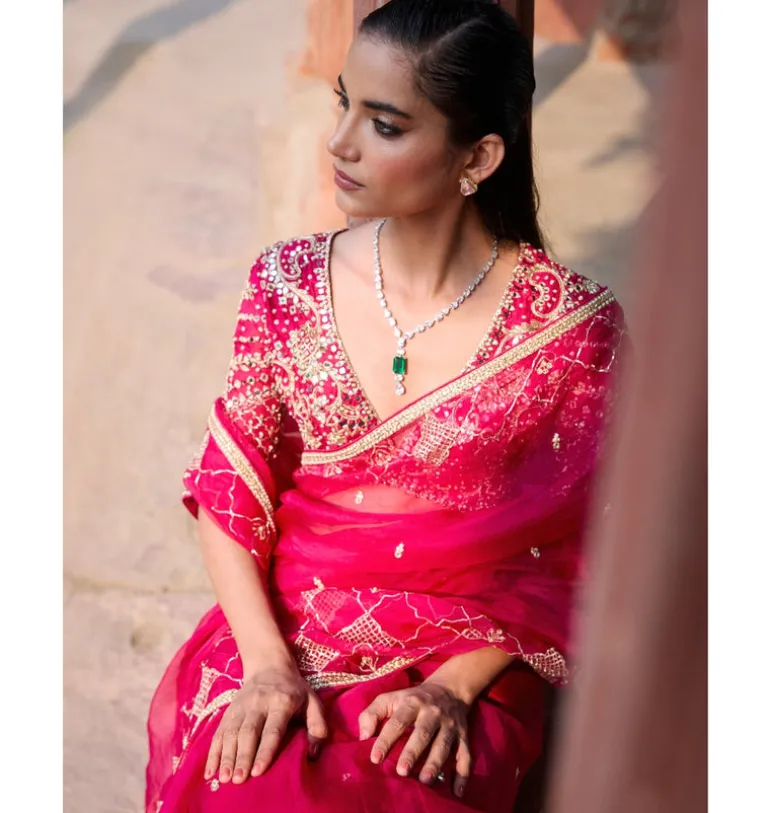 Cranberry Organza Sari Set