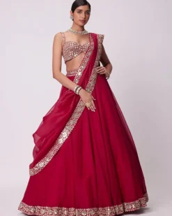 Crimson Red Organza Hand Embroidered Lehenga Set