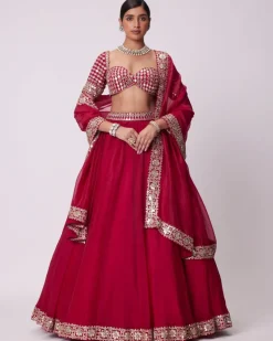 Crimson Red Organza Hand Embroidered Lehenga Set