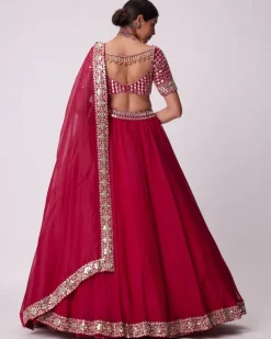 Crimson Red Organza Hand Embroidered Lehenga Set