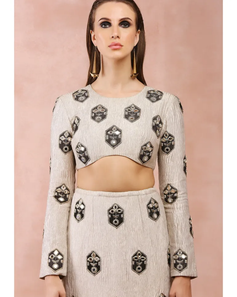 Crushed Dull Gold Embroidered Skirt Set