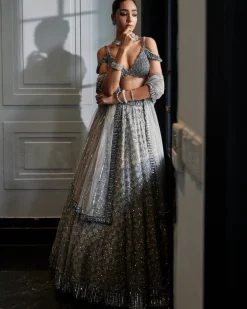 Crystal Grey Sequins Embroidered Lehenga Set