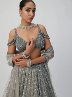 Crystal Grey Sequins Embroidered Lehenga Set