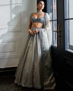Crystal Grey Sequins Scattered Organza Lehenga Set