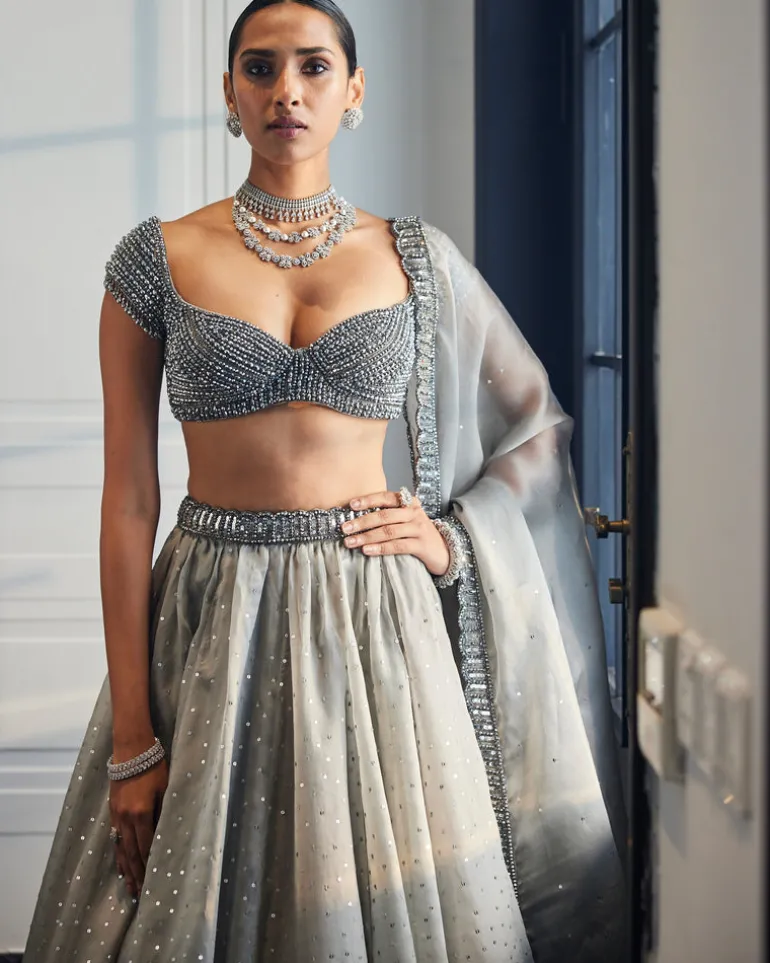 Crystal Grey Sequins Scattered Organza Lehenga Set