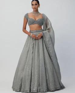 Crystal Grey Sequins Scattered Organza Lehenga Set