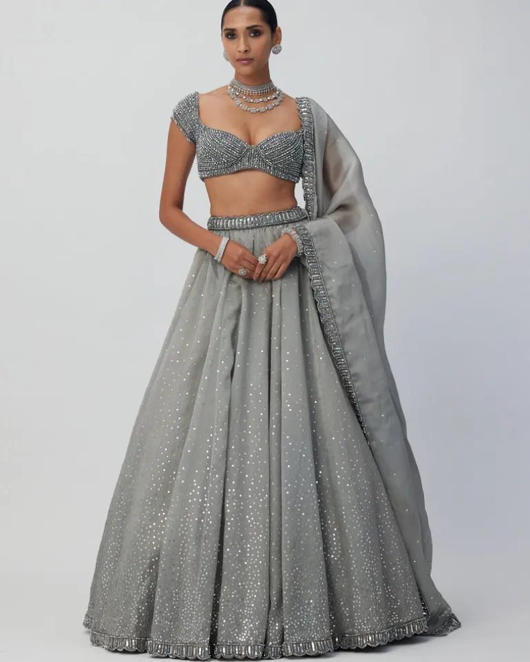 Crystal Grey Sequins Scattered Organza Lehenga Set