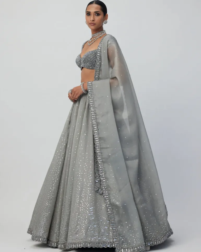 Crystal Grey Sequins Scattered Organza Lehenga Set