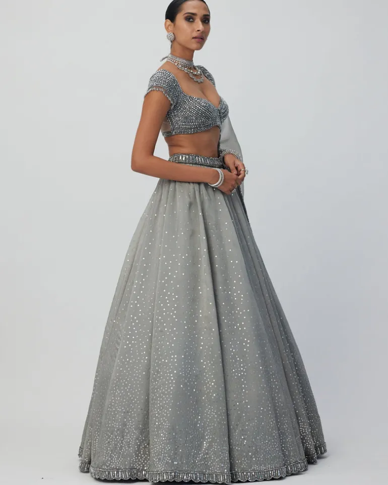 Crystal Grey Sequins Scattered Organza Lehenga Set