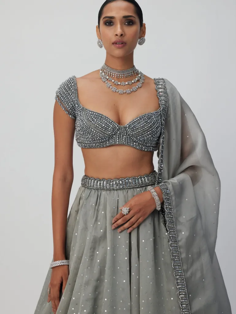 Crystal Grey Sequins Scattered Organza Lehenga Set