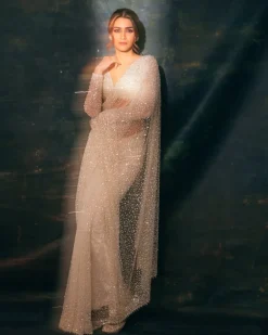 Crystal Pearl Sari