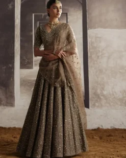 Cutdana & Sequin Jaal Lehenga