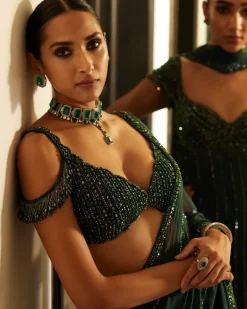 Dark Jade Green Crystal Linear Embroidered Sari