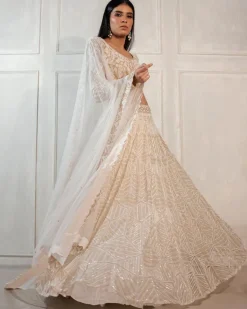 Darya Lehenga Set