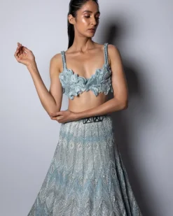 Dasha Lehenga Set
