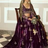 Deep Purple Embroidered Velvet Lehenga Set