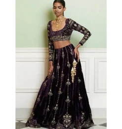 Deep Purple Embroidered Velvet Lehenga Set