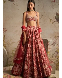 Demi Lehenga Set