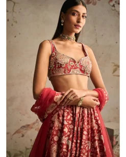 Demi Lehenga Set