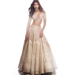 Diana in Raima Lehenga Set