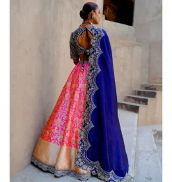 Divisha Banarasi Lehenga Set